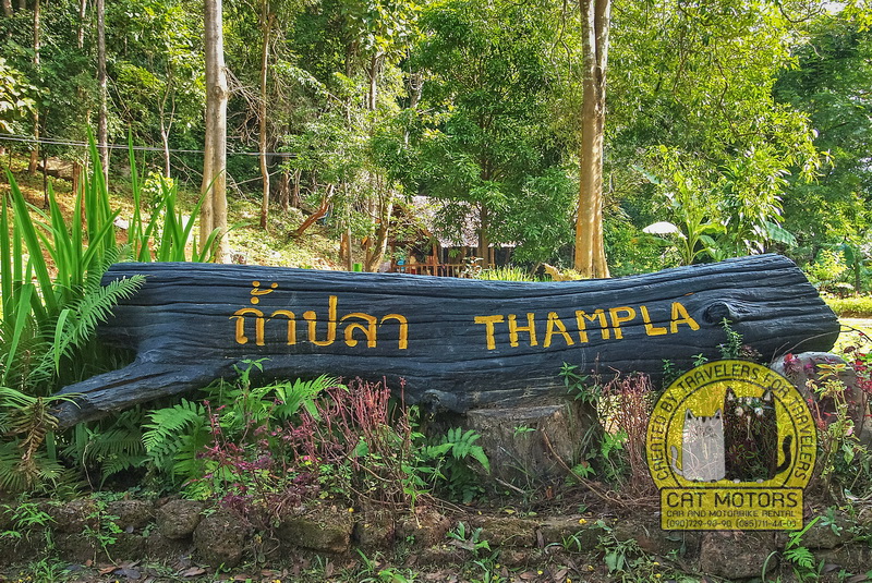 Fish Cave Tham Pla Forest Park