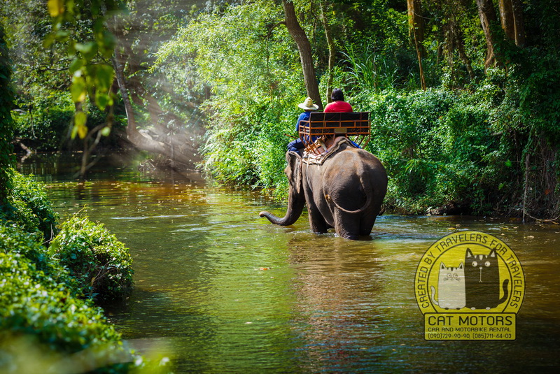 elephant riding mae hong son thailand 2