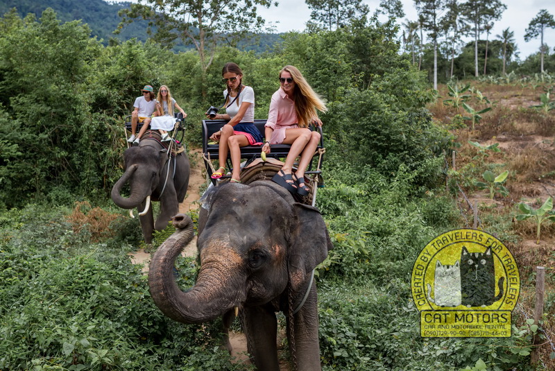 mae hong son thailand elephant riding